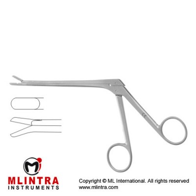 Spurling Leminectomy Rongeur Down Stainless Steel, 15 cm - 6" Bite Size 4 x 10 mm
